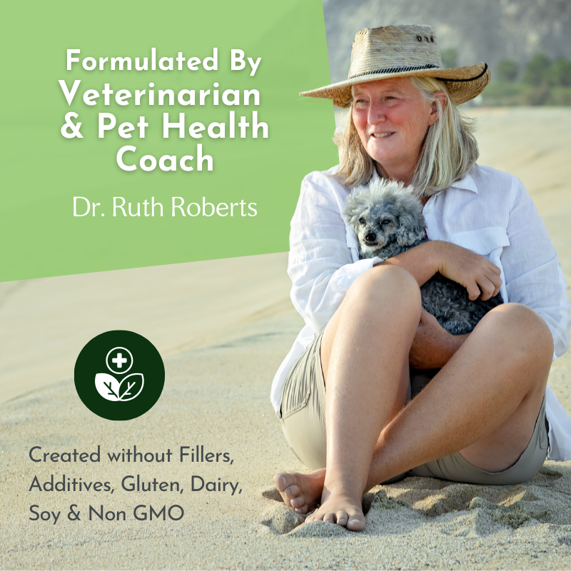 Holistic Multivitamin and Glandular Support for Pets