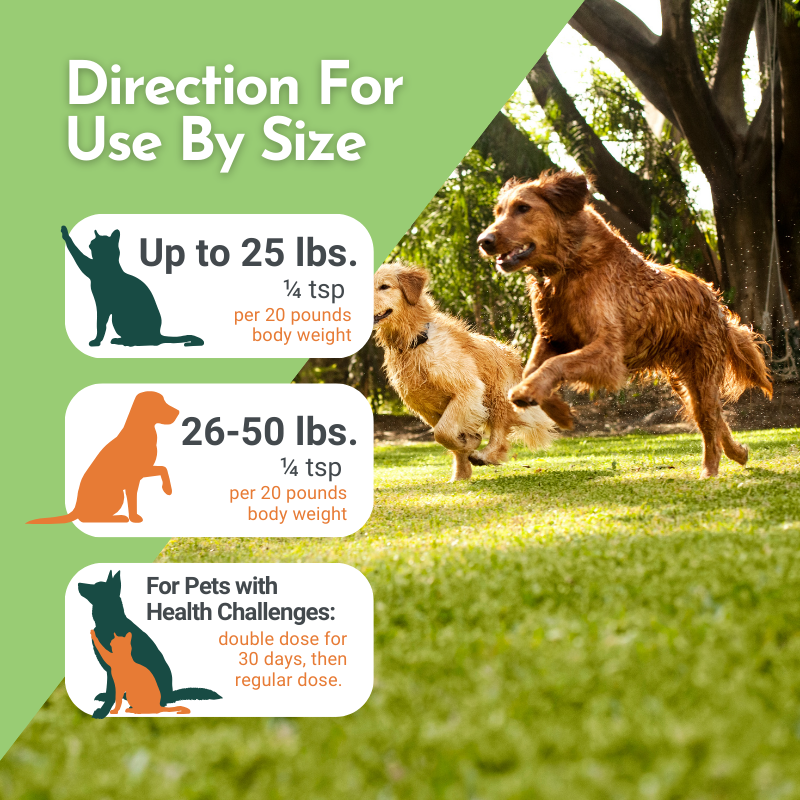 Holistic Multivitamin and Glandular Support for Pets