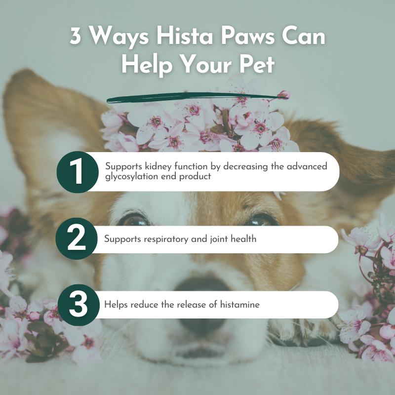 Hista Paws – with Quercetin for Dogs and Cats