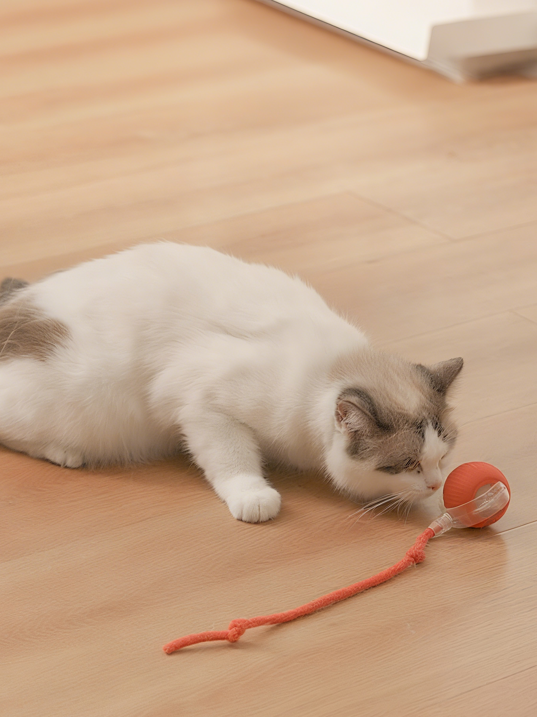 Smart Interactive Cat Toy Ball