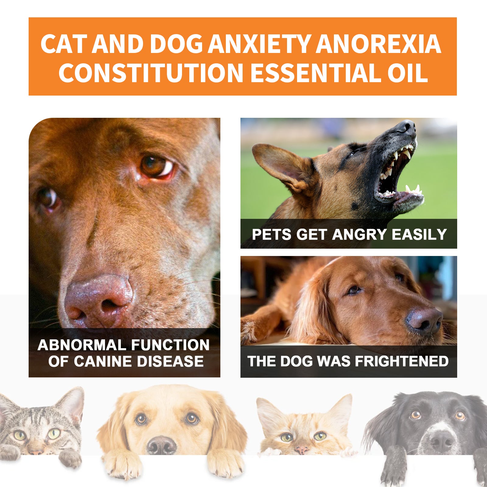 Sesame Seed Oil Essence for Cats and Dogs