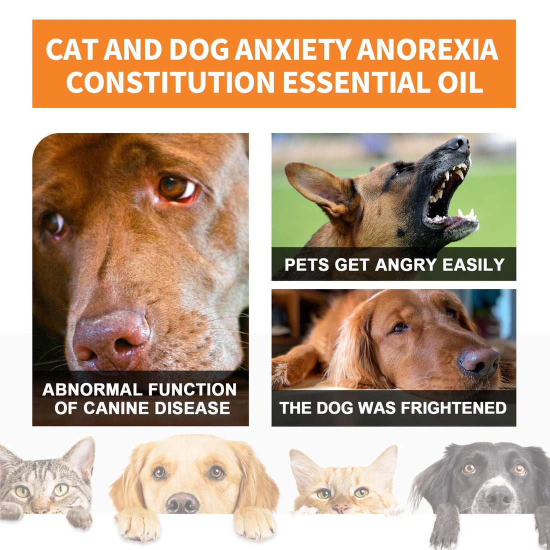 Sesame Seed Oil Essence for Cats and Dogs