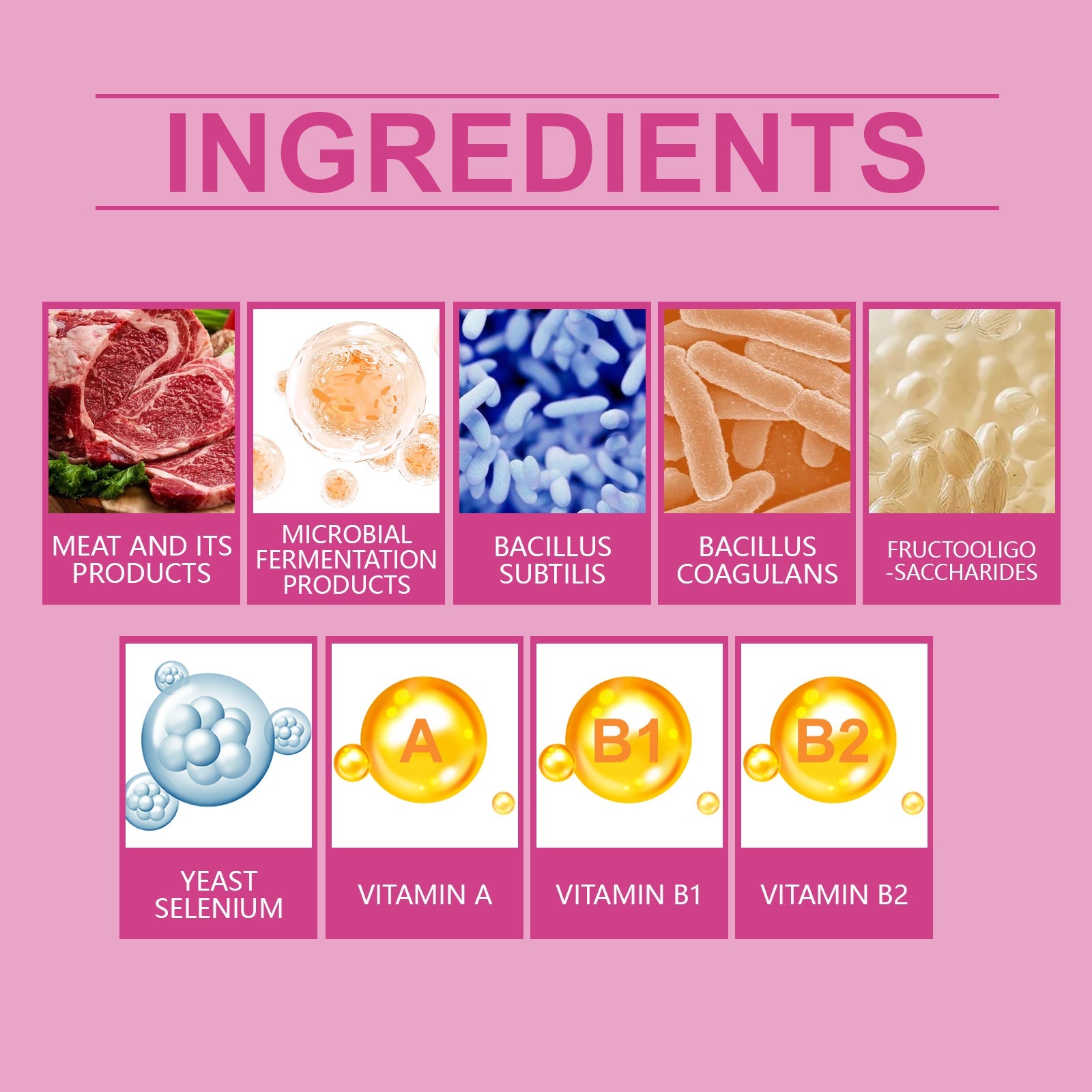 Dog Probiotic Tablets for Digestive and Nutritional Health