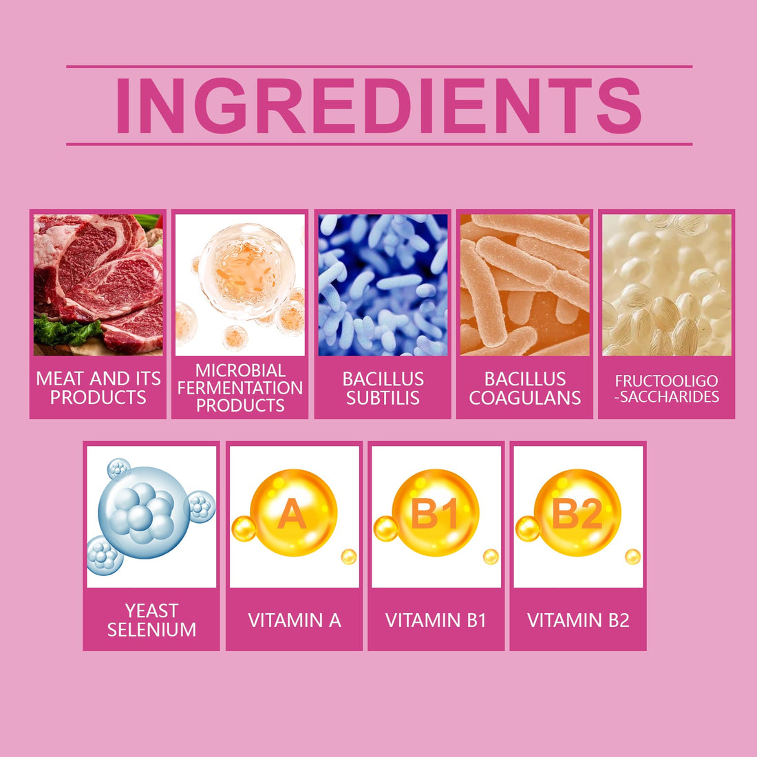 Dog Probiotic Tablets for Digestive and Nutritional Health