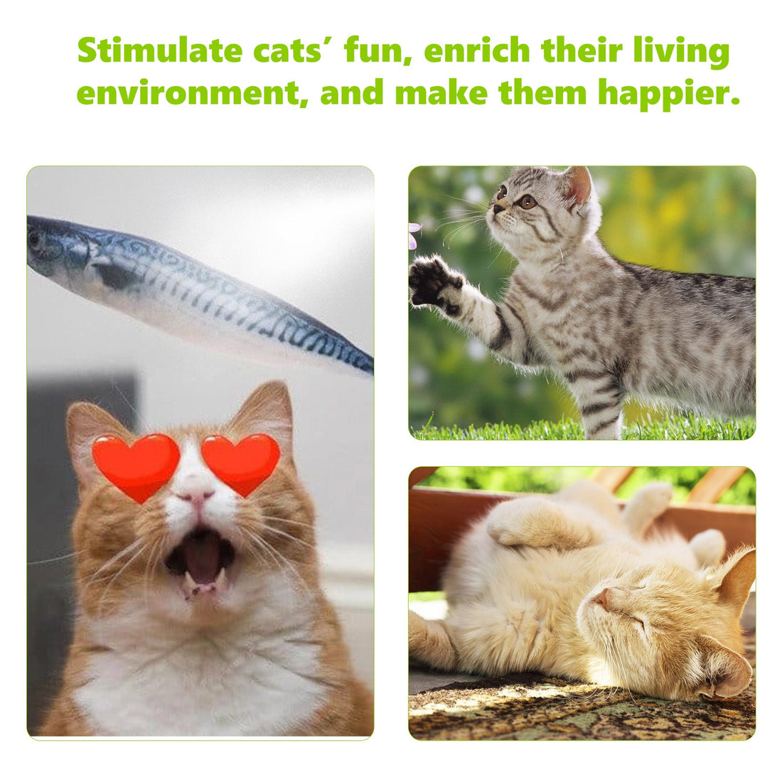 Catnip Spray for Anxiety Relief and Vitality