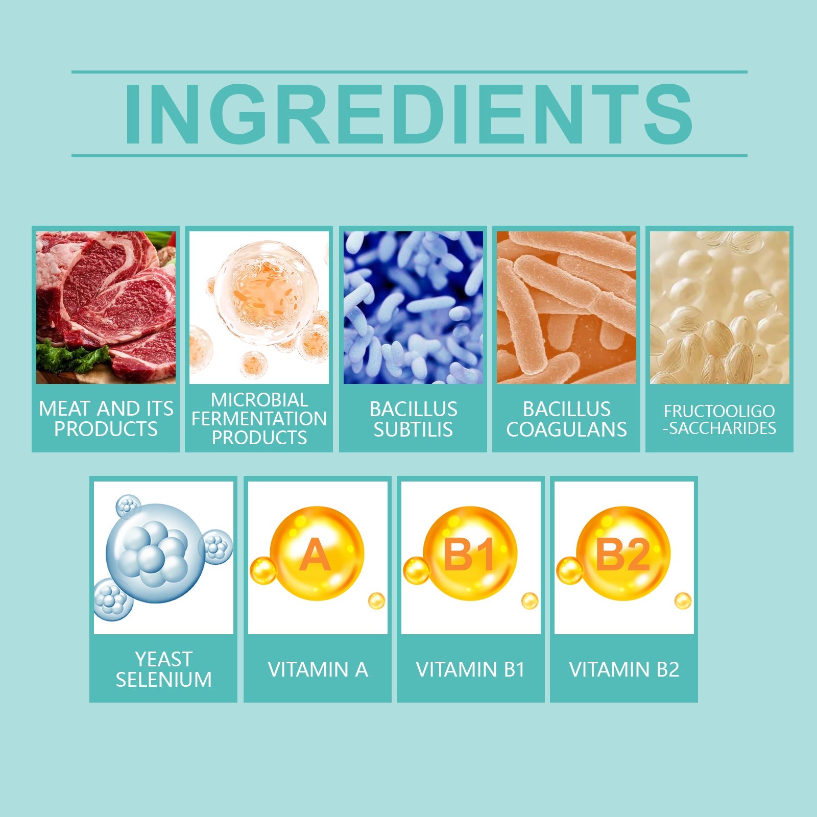 Cat Probiotic Tablets for Digestive and Nutritional Health