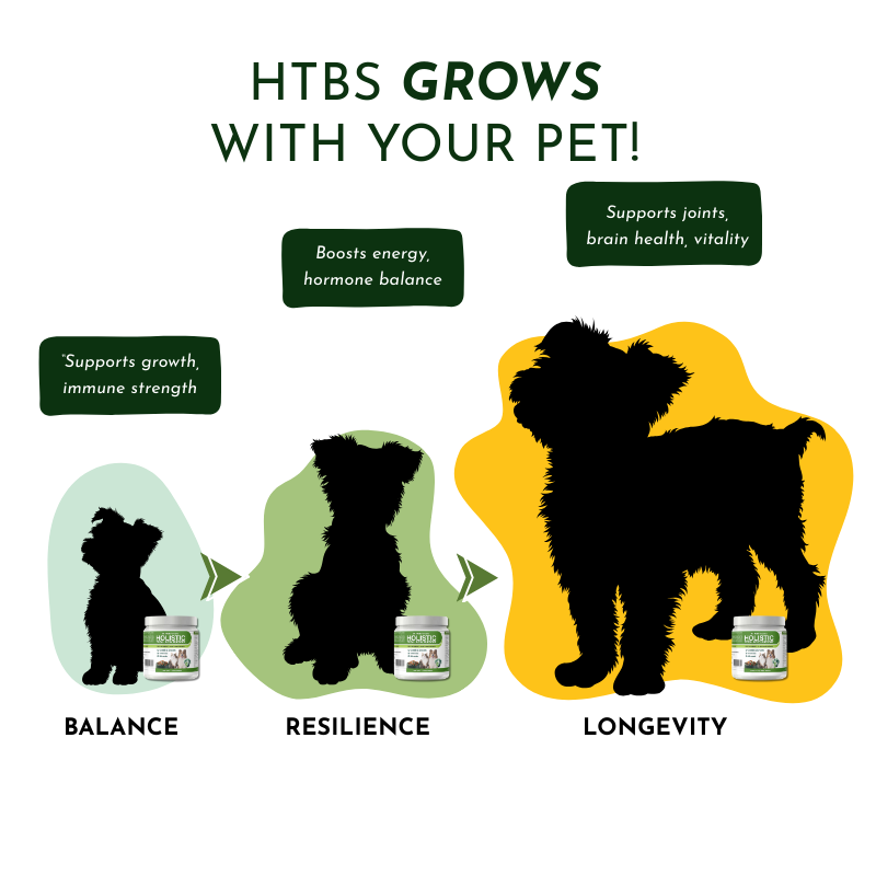 Holistic Multivitamin and Glandular Support for Pets