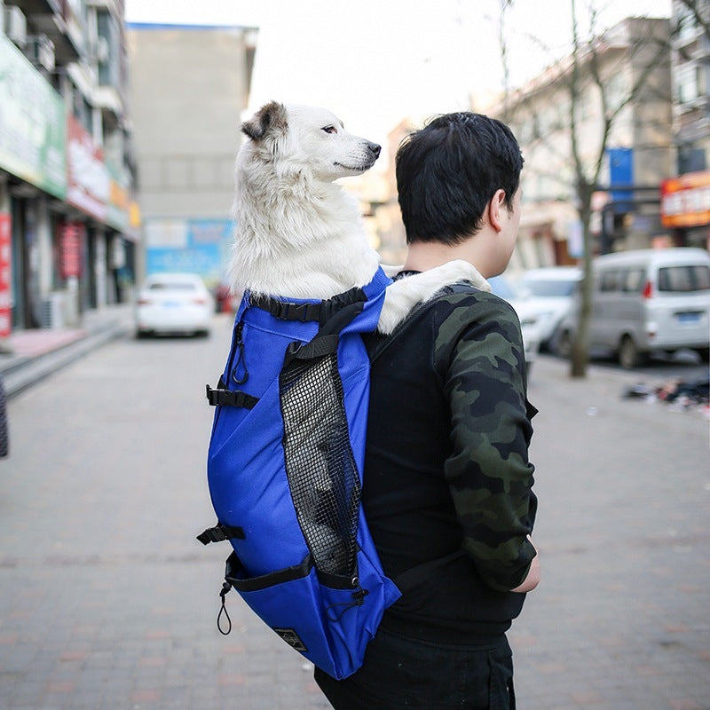 Double Shoulder Pet Carrier Travel Backpack