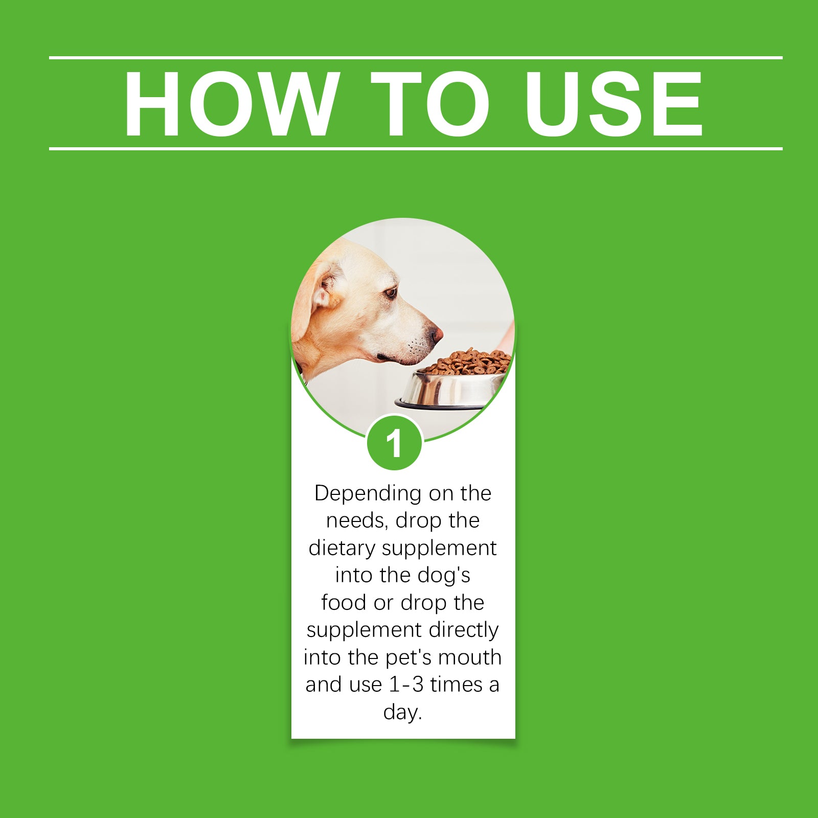 Special Dietary Supplements for Dog Health and Wellness