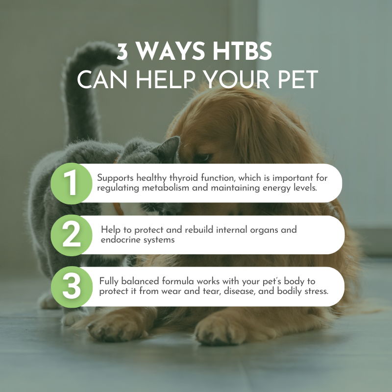 Holistic Multivitamin and Glandular Support for Pets