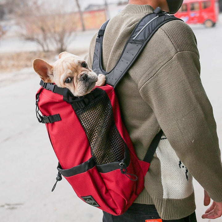 Double Shoulder Pet Carrier Travel Backpack