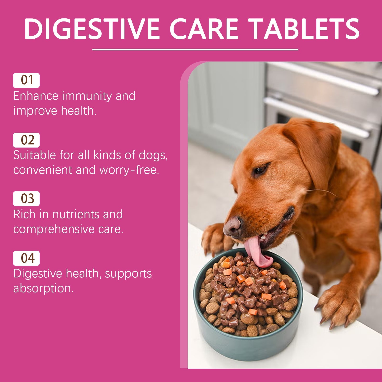 Dog Probiotic Tablets for Digestive and Nutritional Health