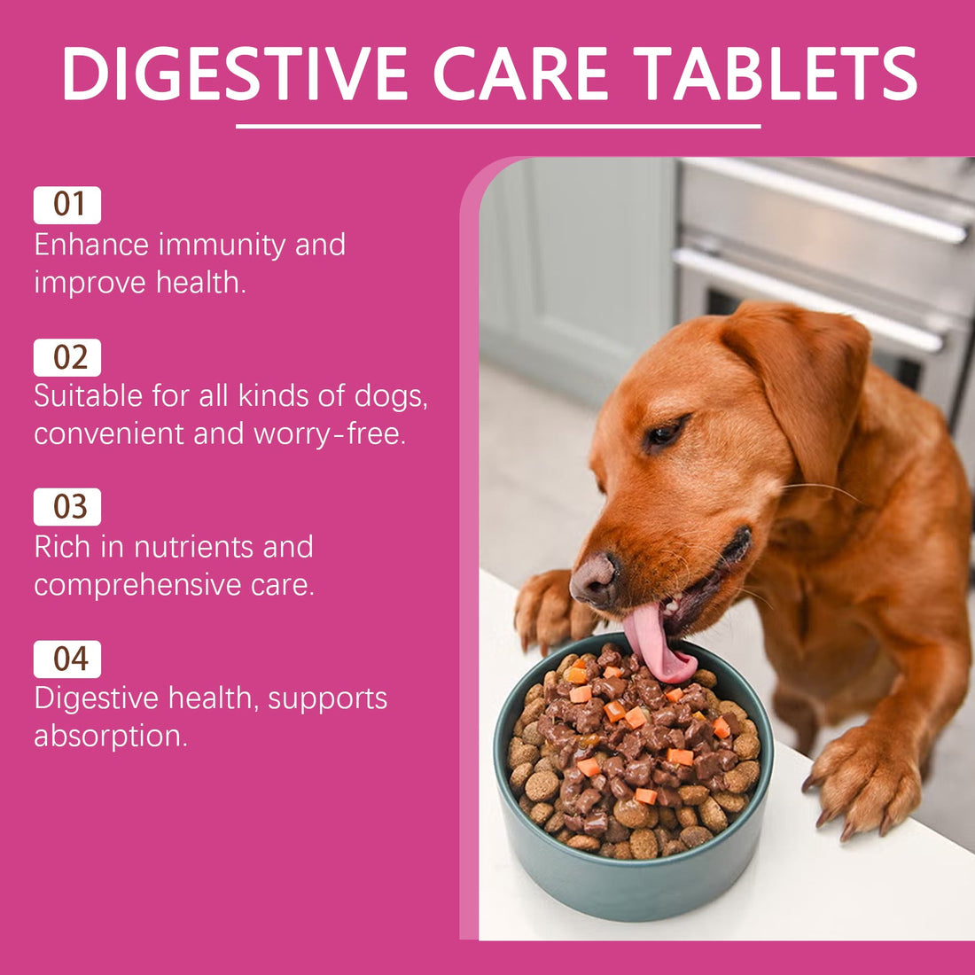 Dog Probiotic Tablets for Digestive and Nutritional Health