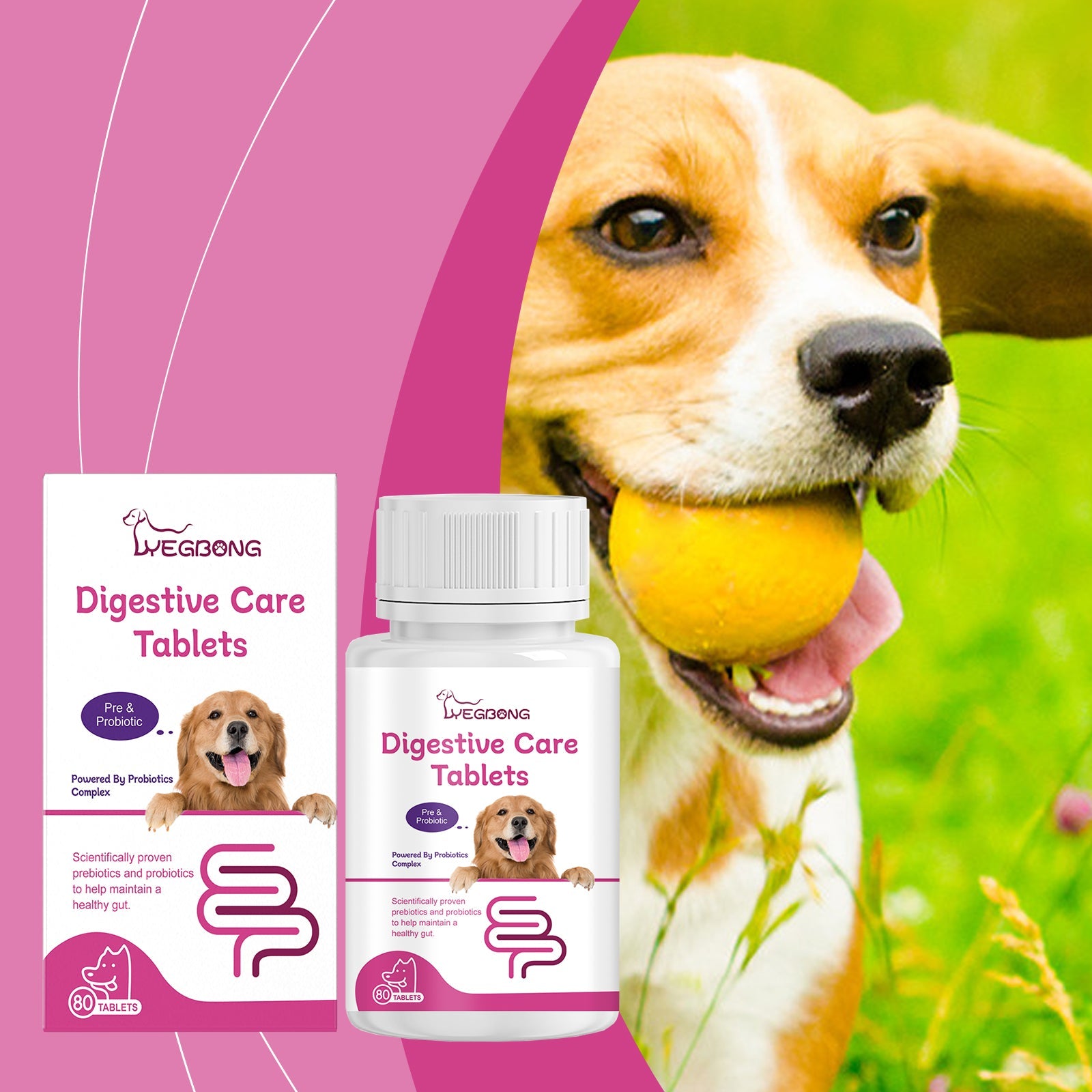 Dog Probiotic Tablets for Digestive and Nutritional Health