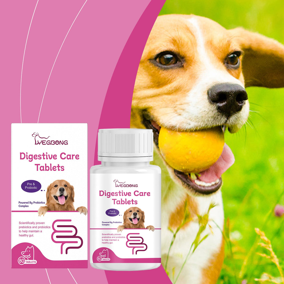 Dog Probiotic Tablets for Digestive and Nutritional Health