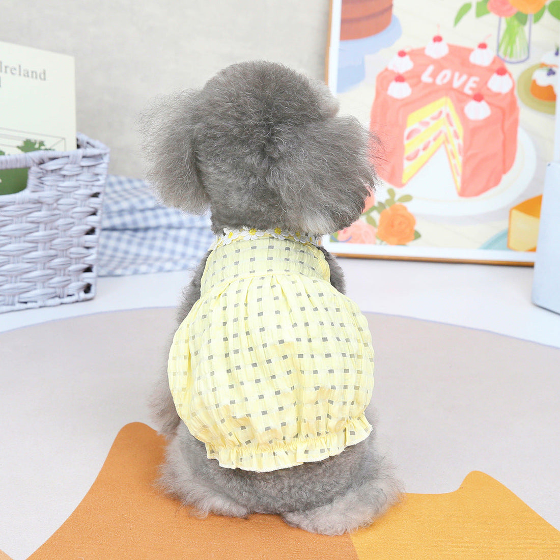 Spring Summer Clothes for Small Dogs