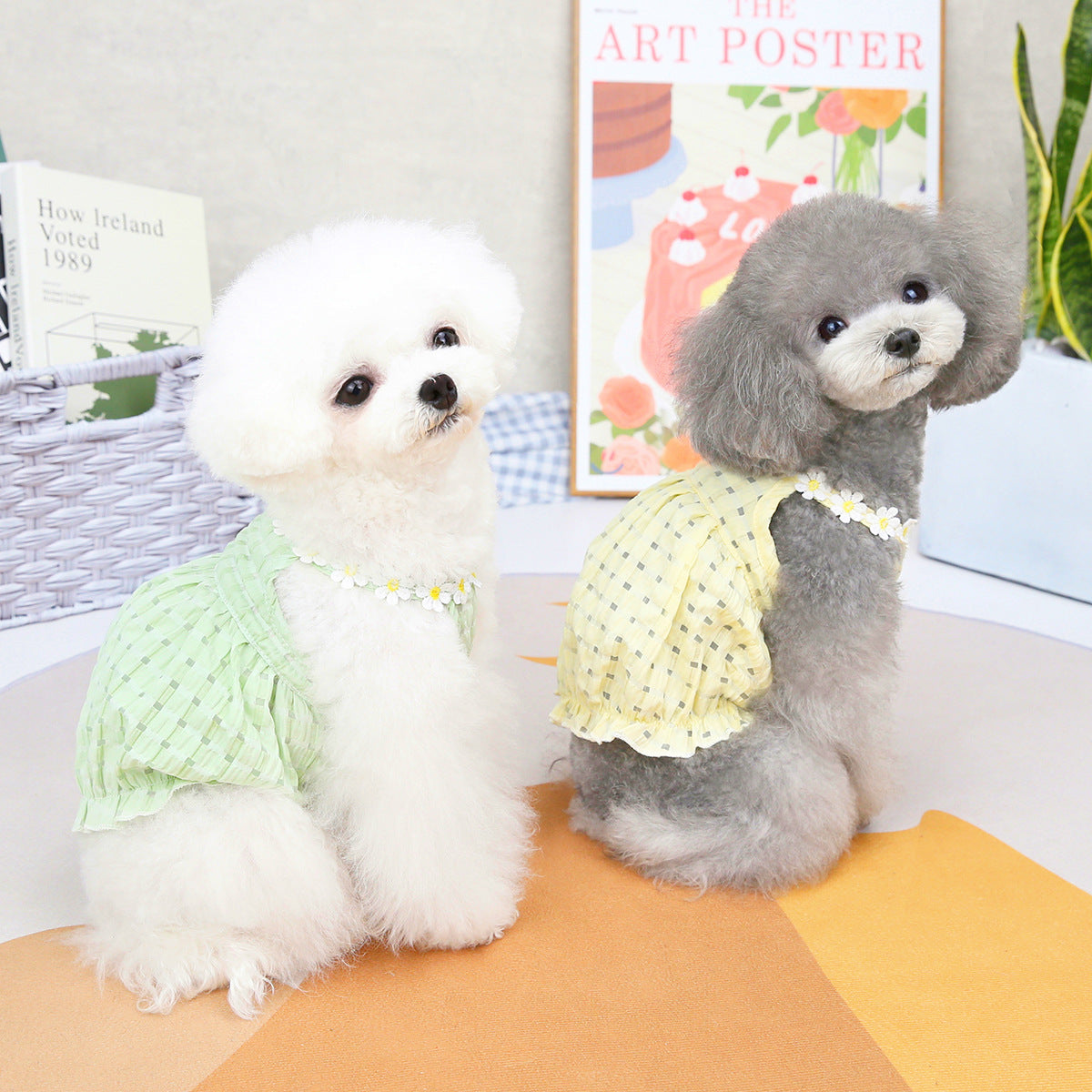 Spring Summer Clothes for Small Dogs