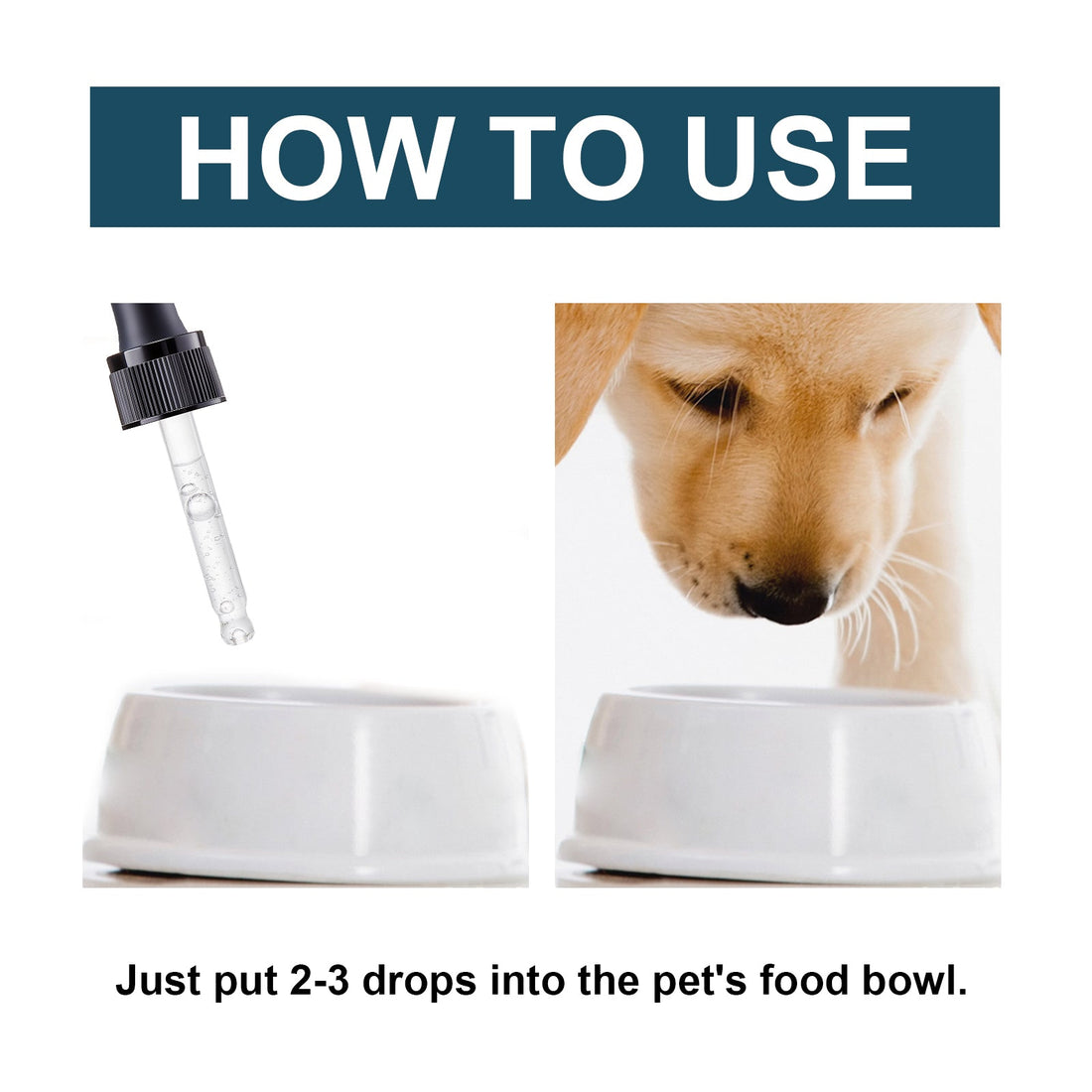 Pet Immune Support Oral Drops for Cats Dogs