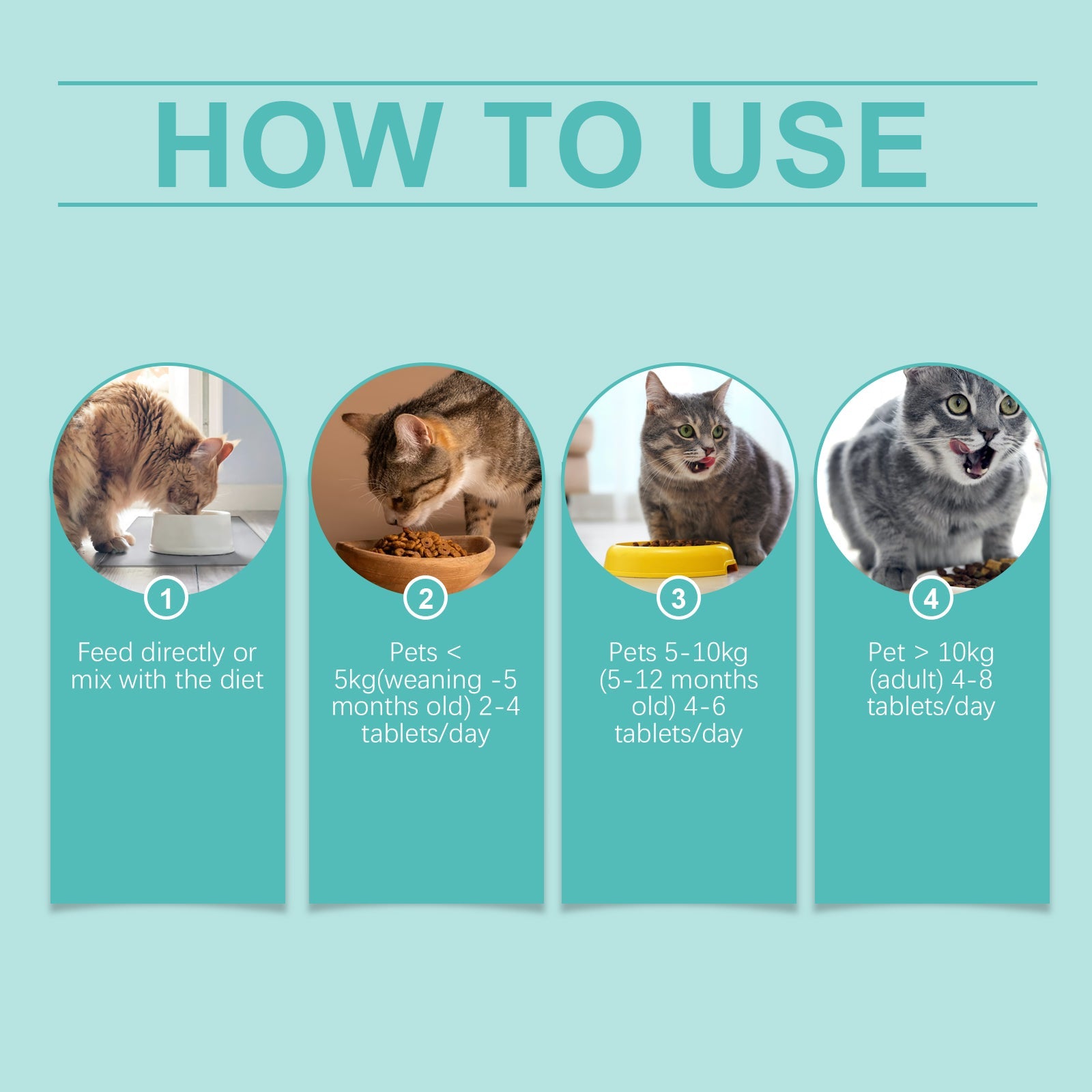 Cat Probiotic Tablets for Digestive and Nutritional Health