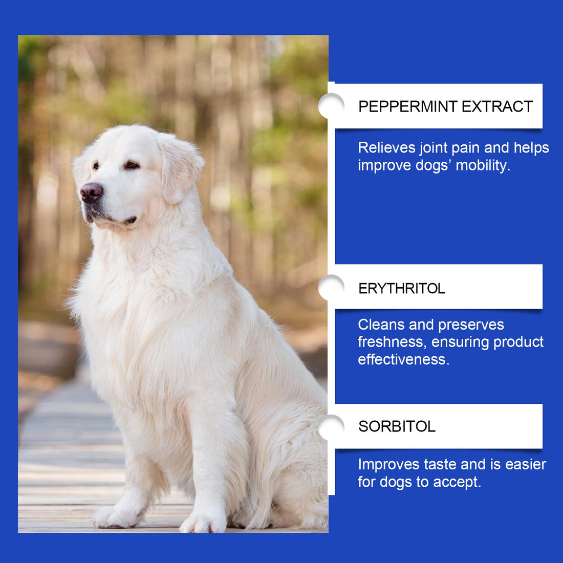 Dog Joint Health Supplement for Enhanced Nutrition Care