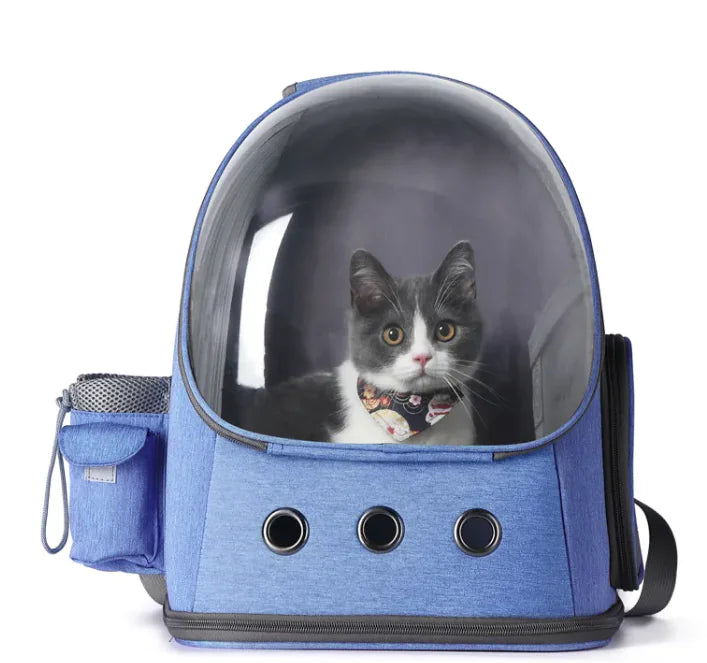 PawPort Pet Carrier for Small Dogs and Cats