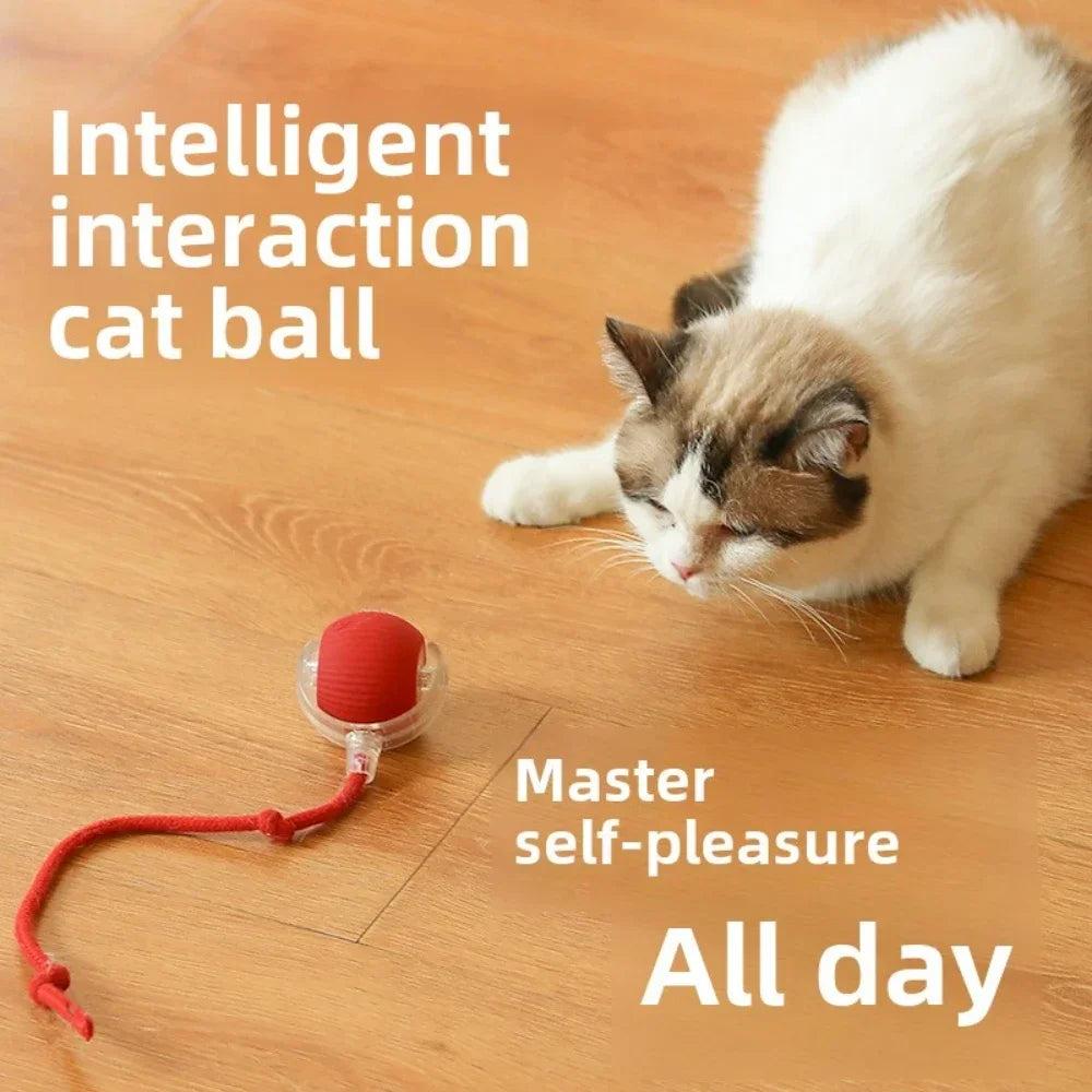 Rechargeable Smart Interactive Rolling Ball Pet Toy