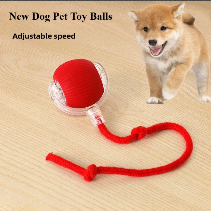 Rechargeable Smart Interactive Rolling Ball Pet Toy