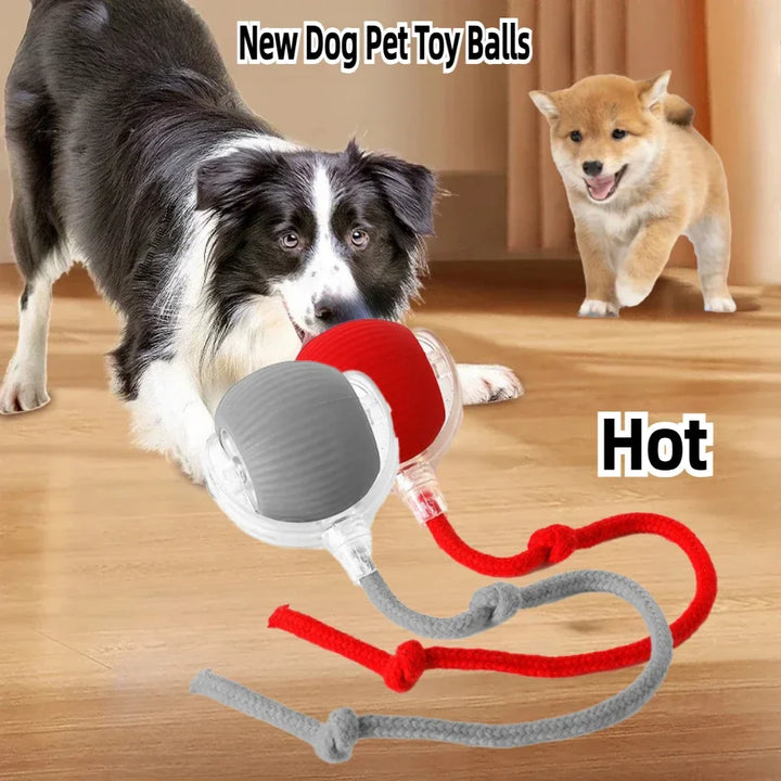 Rechargeable Smart Interactive Rolling Ball Pet Toy