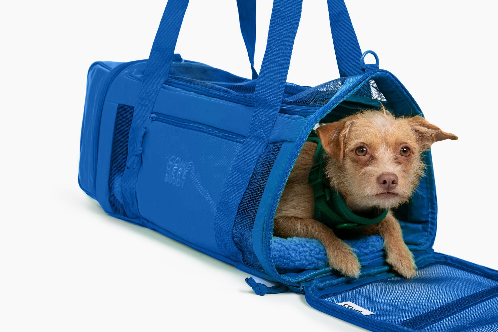 Travel Buddy - Pet Carrier