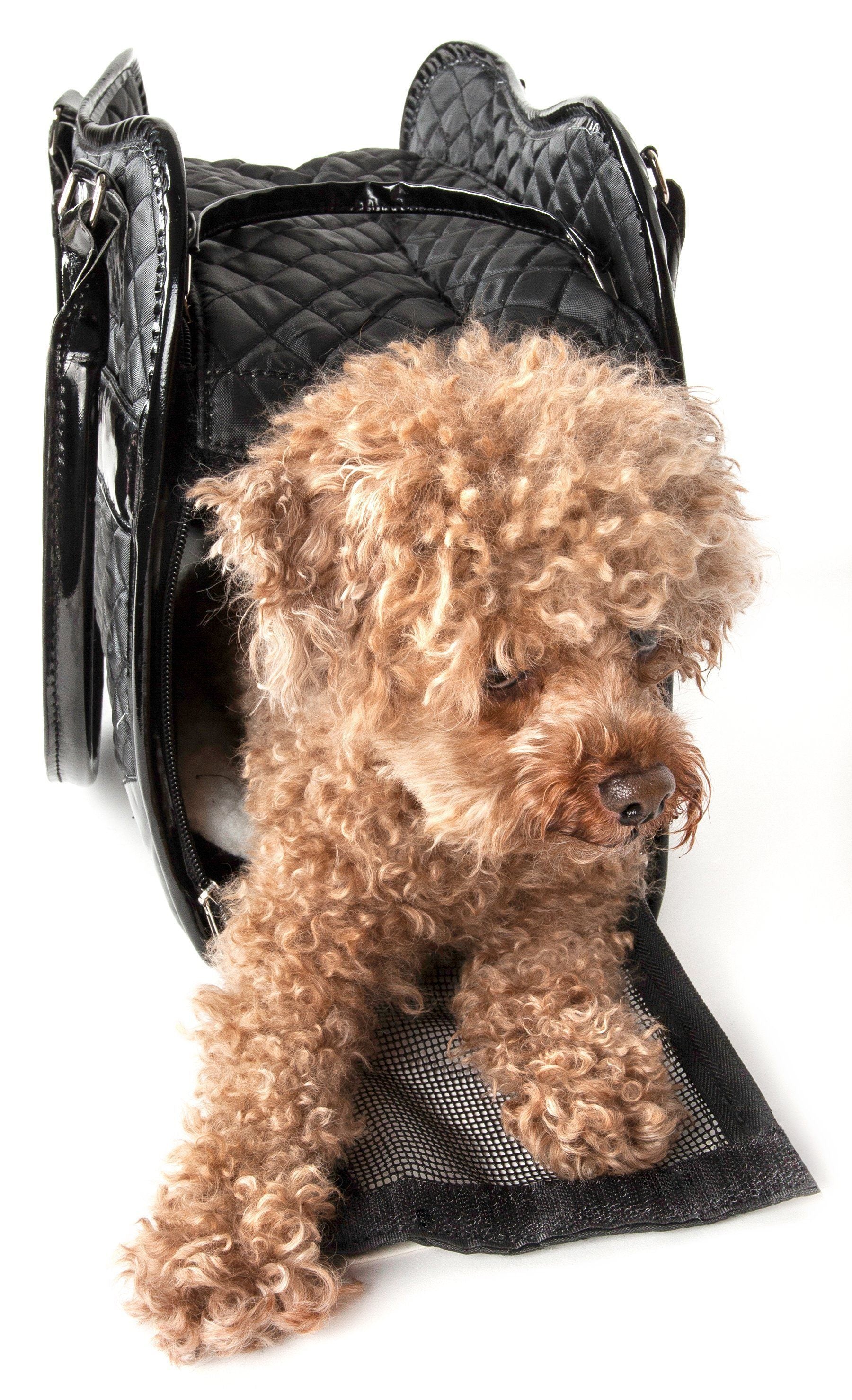 Designer Airline-Approved Pet Handbag Carrier for Dogs