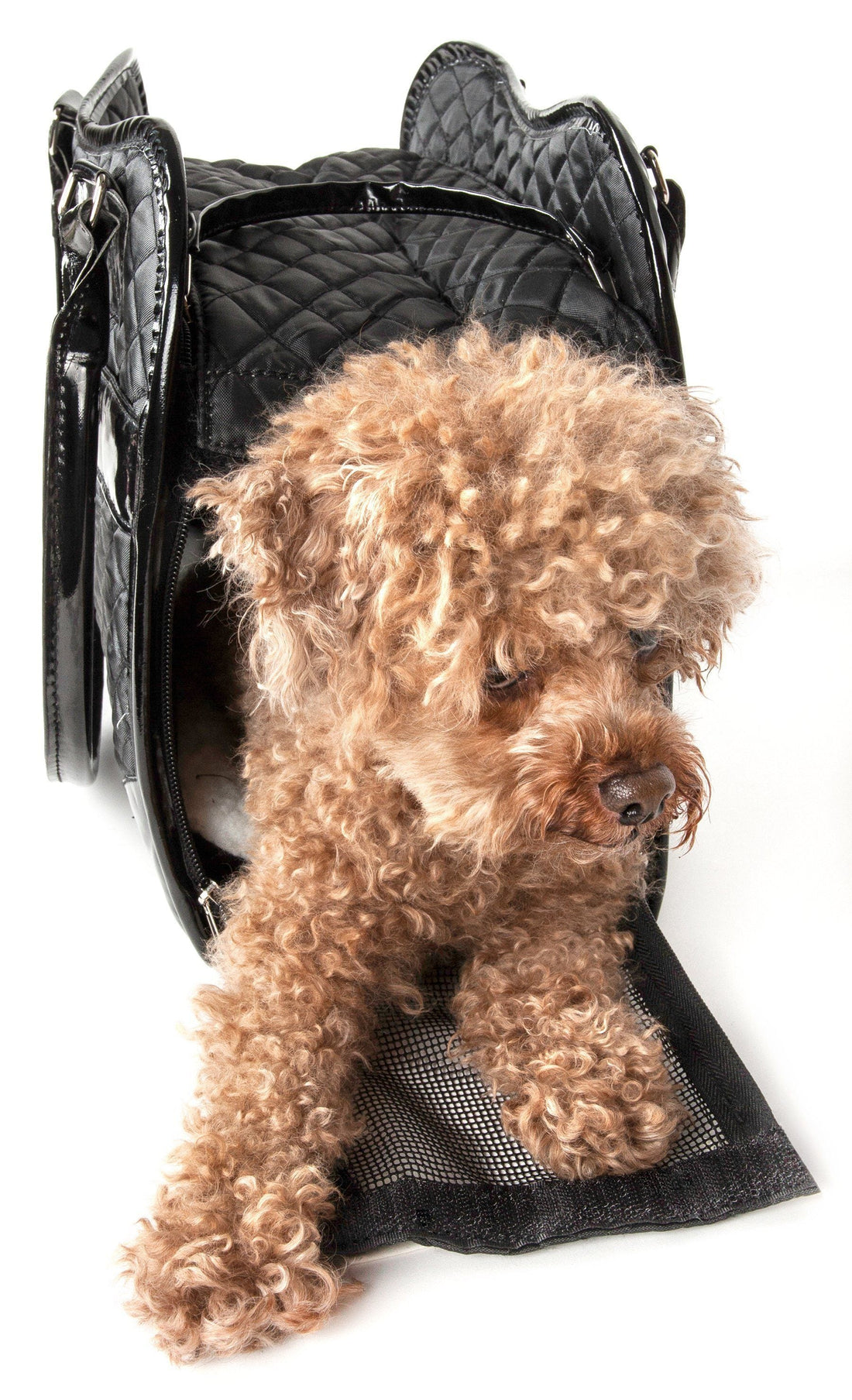 Designer Airline-Approved Pet Handbag Carrier for Dogs